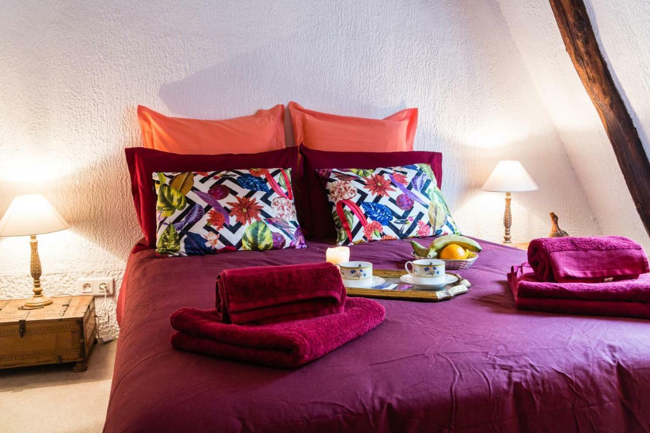 Apartment Duplex Cite Medievale *